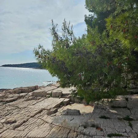 Nada Apartment, Uvala Koramaslinova, Brac Milna (Brac)