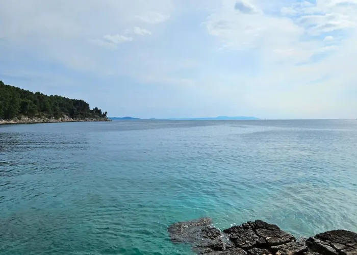 Apartament Nada Apartment, Uvala Koramaslinova, Brac Milna (Brac)