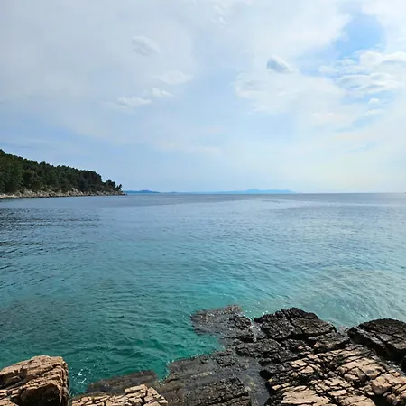 Appartement Nada Apartment, Uvala Koramaslinova, Brac Milna (Brac)